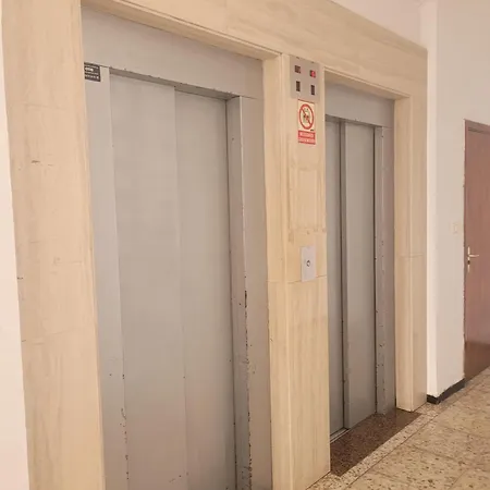 Tajinaste *